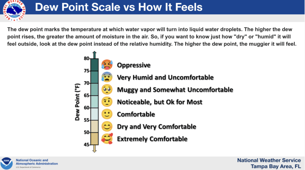 Dew Point Scale showing the comfort level at various temperatures and humidity levels.