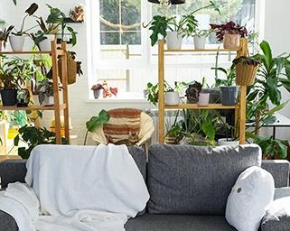 10 Easy Ways to Improve Your Home’s Indoor Air Quality